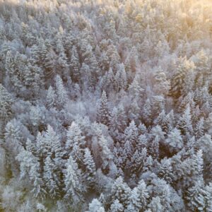 Single Room NY Retreat 2026